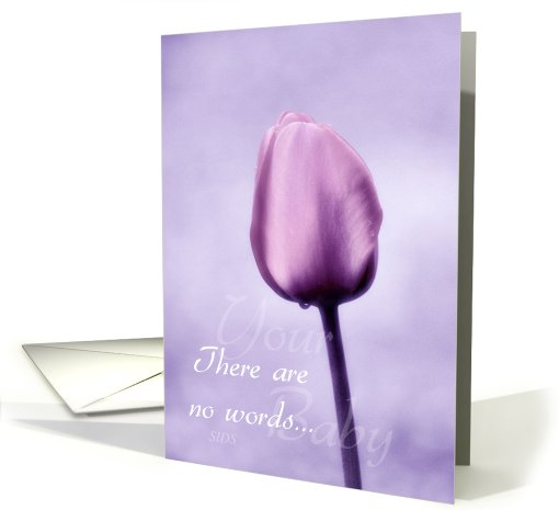 SIDS Sympathy - Loss of Baby - Lavender Tulip With Raindrop card