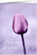 SIDS Sympathy - Loss of Baby - Lavender Tulip With Raindrop card