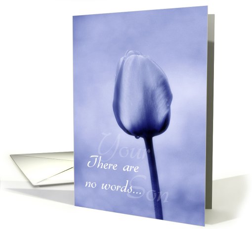 Sympathy - Loss of Son - There Are No Words - Blue Tulip card (814347)