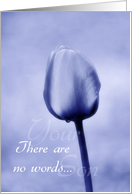 Sympathy - Loss of Son - There Are No Words - Blue Tulip card