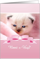 Need a Hug, Cute Siamese Kitten, Pink Encouragement For Friend card