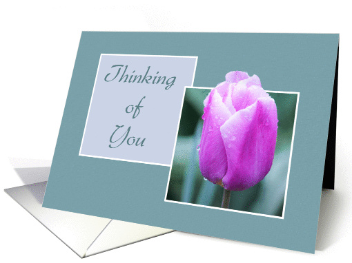 Thinking of You - Pink Tulip In The Rain card (818952)