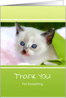 Thank You For Everything - Siamese Kitten Wrapped in Ribbon card