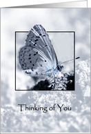 Thinking of you, Holly Blue Butterfly, If Thoughts Were Butterflies card