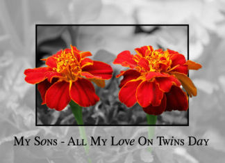 Twins Day - My Sons ...