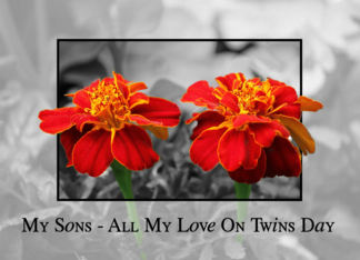 Twins Day - My Sons - All My Love