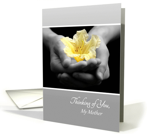 Thinking of You Mother, Yellow Flower In Hands, Poem For Mom card