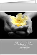 Thinking of You Mother, Yellow Flower In Hands, Poem For Mom card