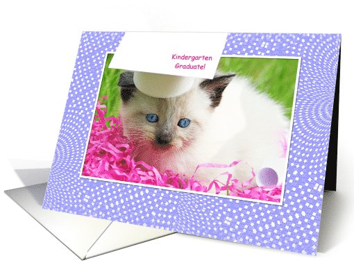Cute Kitty Kindergarten Graduation Congratulations card (824874)