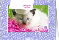 Cute Kitty Kindergarten Graduation Congratulations card