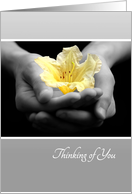 Elegant Thinking Of You - Delicate Yellow Flower In Hands card