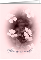 SIDS - Loss of Baby Sympathy - Pink Flowers card