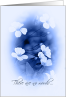 SIDS - Loss of Baby Sympathy - Blue Flowers card