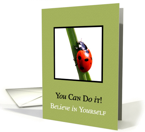 Believe In Yourself - You Can Do It - Ladybug card (827695)