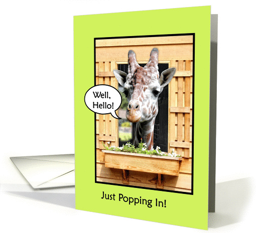 Funny Hello, Cute Giraffe Just Popping In Through Window, Green card