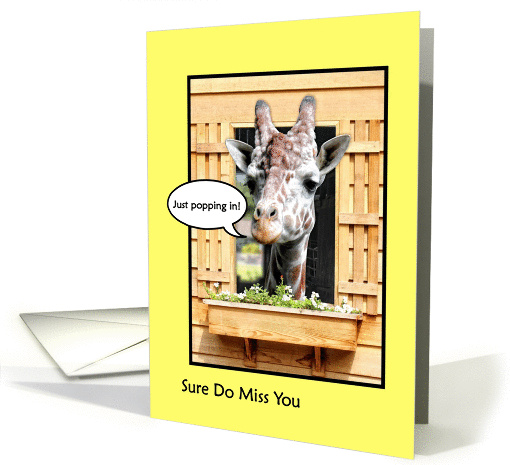 Funny Missing You, Cute Giraffe Just Popping In Through Window card