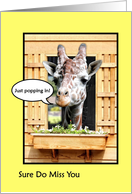 Funny Missing You, Cute Giraffe Just Popping In Through Window card