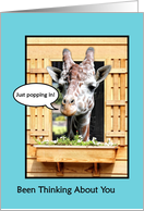 Funny Thinking Of You, Cute Giraffe Just Popping In Through Window card