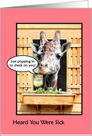 Funny Get Well Soon, Cute Giraffe Just Poppin In Through Window card