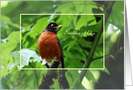 Thinking of You - Robin Red Breast card