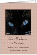 Cataract Surgery - Quick Recovery - Eyes - Siamese Cat card