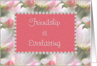 Friendship Is Everlasting, pink & green floral card