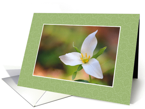 Trillium Flower - Blank card (839581)