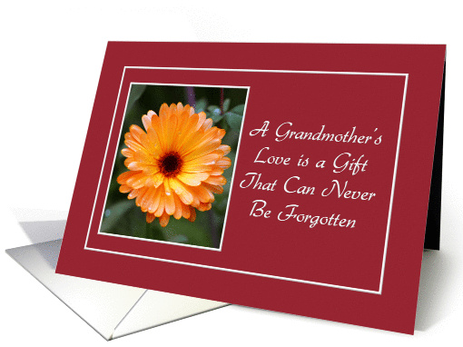 Encouragement - Grandmother's Love - Orange Wild Flower card (843314)