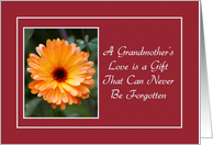 Encouragement - Grandmother’s Love - Orange Wild Flower card