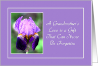 Encouragement - Grandmother’s Love - Purple Iris card