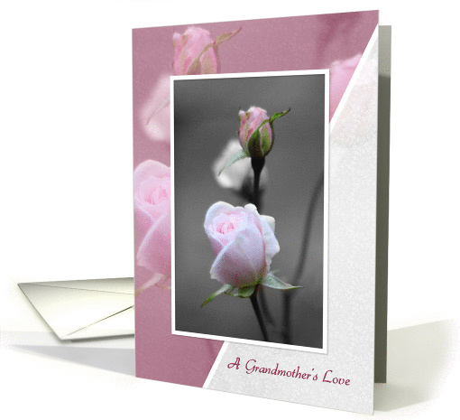 Encouragement - Grandmother's Love - Old Fashioned Roses card (843320)