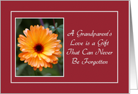 Encouragement - Grandparent Visitation - Orange Wildflower card