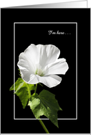 Clinical Depression - I’m Here - Rose Mallow Wildflower card