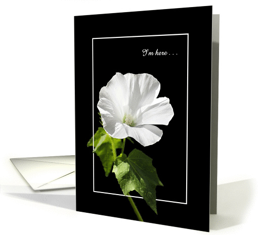 Encouragement For Friend - I'm Here - Rose Mallow Wildflower card