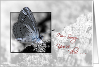 Encouragement for Friend - Sorry You’re Blue - Holly Blue Butterfly card