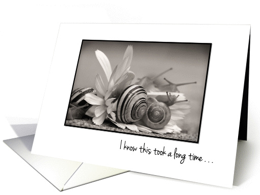 Snail Mail - Thinking of You - Humorous card (856252)