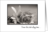 Snail Mail - Thinking of You - Humorous card