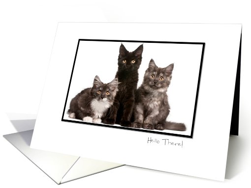 Black Frame White Border - Your Photo Here card (856531)