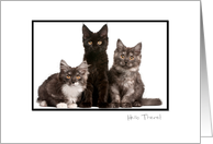 Black Frame White Border - Your Photo Here card