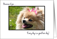 Funny Thank You Pet Grooomer - Cute Pomeranian Puppy card