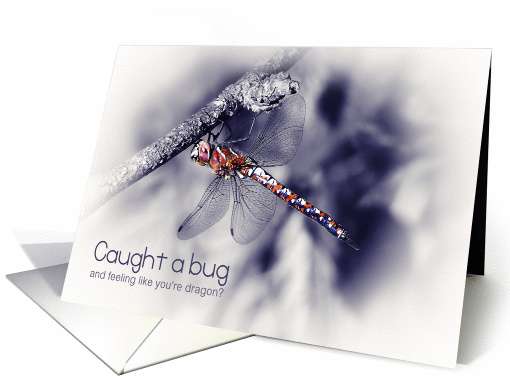 Humorous Get Well Soon Caught A Bug - Dragonfly Photograph card