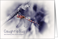 Humorous Get Well Soon Caught A Bug - Dragonfly Photograph card
