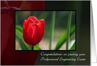 Congratulations On Passing Professional Engineering Exam Red Tulip card