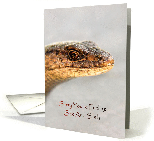 Get Well Soon, Lizard With Golden Eye, Sorry You're Sick... (863836)