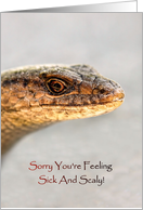 Get Well Soon, Lizard With Golden Eye, Sorry You’re Sick And Scaly card