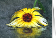 Crushed Yellow African Daisy In The Rain - Digital Water Color card