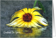 Clinical Depression Yellow Gerbera Daisy Flower Crushed In Spirit card