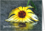 Encouragement For Friend Yellow Flower You’re Still Beautiful card