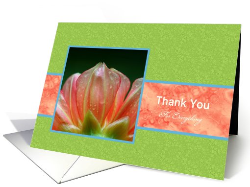 Customizable Thank You Vibrant Orange Flower Petals card (876237)