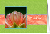 Customizable Thank You Vibrant Orange Flower Petals card